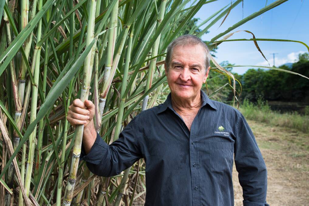 On the same page: Information sharing has led to significant cane growing advances in the Tully region, according to Tully Canegrowers chairman Tom Harney. Picture: supplied.