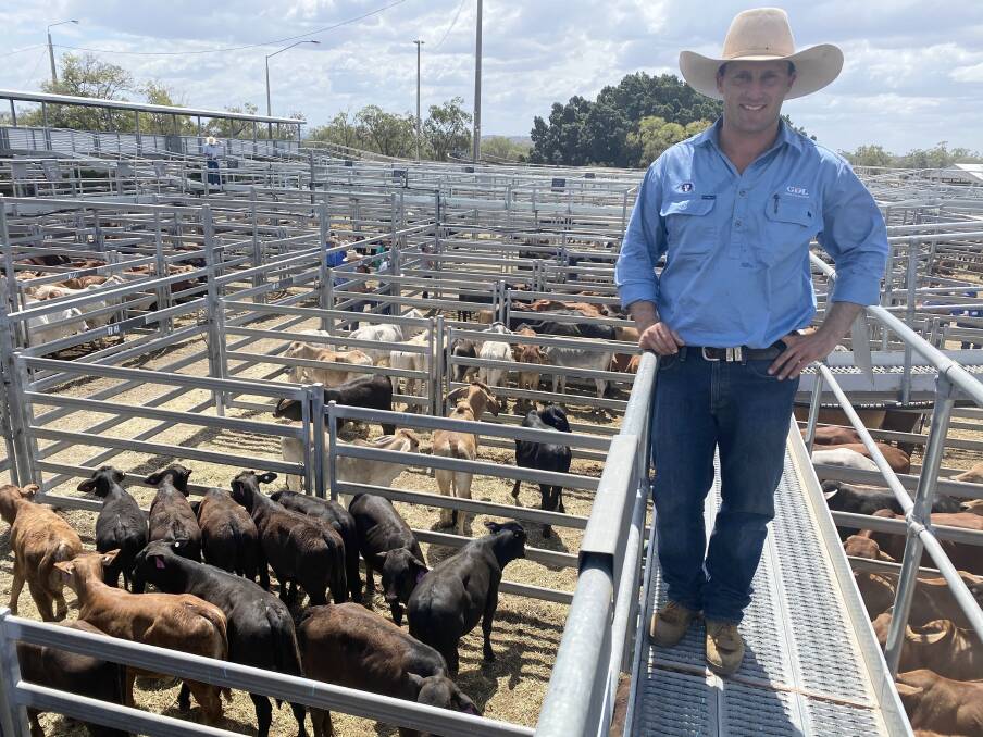 Josh Heck, Savage Barker and Backhouse - GDL, with the sale topping Brangus steers that reached 522c/kg.