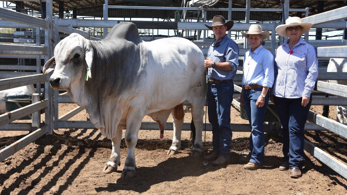 Scott and Vicki Hayes, Mundubbera, with $60,000 bull Yenda V 411 (P) bought by Kelvin and Margaret Maloney (pictured), Kenilworth Brahmans. Picture: Jessica Johnston