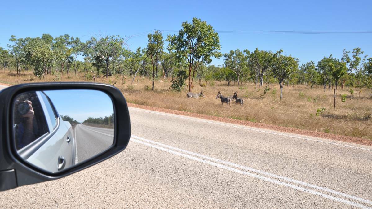 The changes mean pastoralists would be required to take their vehicles to the closest Motor Vehicle Registration office, or fly inspectors to remote properties to renew registrations.