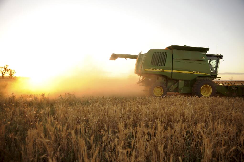 A new USDA report has pegged global wheat production at 770.5 million tonnes but corn supply estimates are more uncertain. PHOTO: Bloomberg