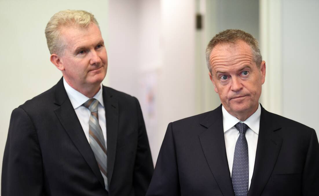 Labor environment spokesman Tony Burke and Opposition Leader Bill Shorten at Parliament House in Canberra. Photo Mick Tsikas. 