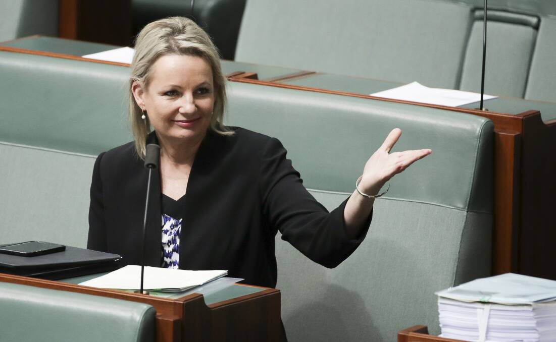 MP Sussan Ley represents the rural electorate of Farrer in southern NSW, has introduced a private members bill to ban live sheep exports.