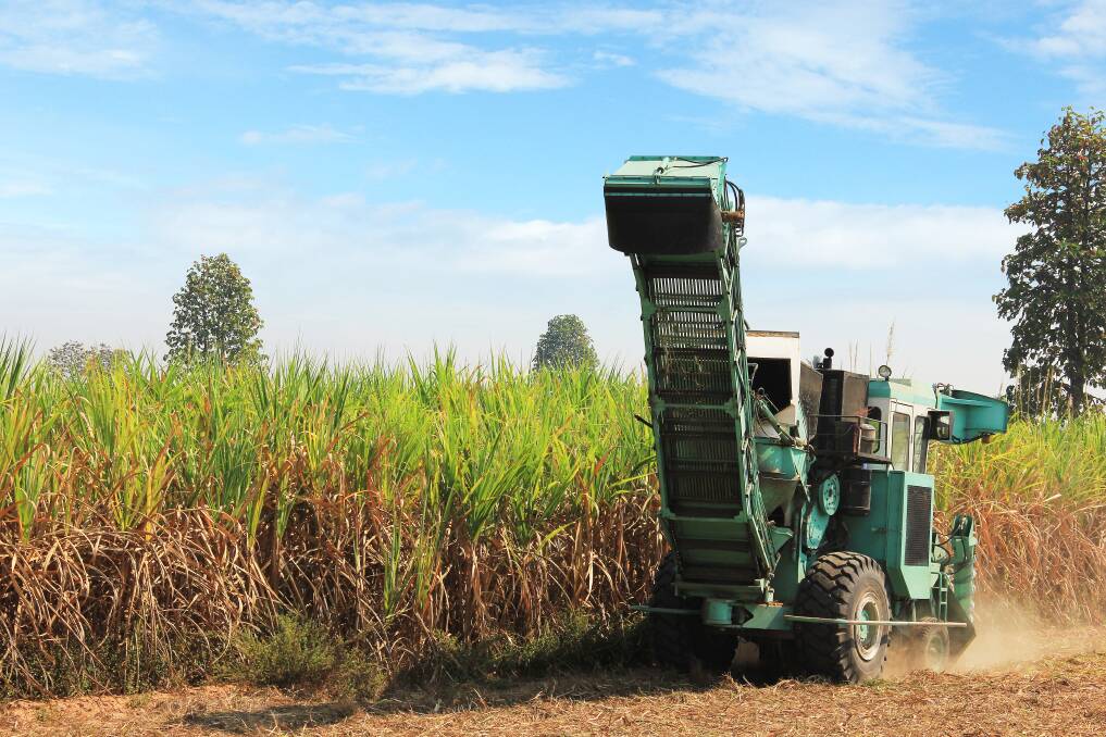 Australia ramps up opposition to India's sugar subsidies