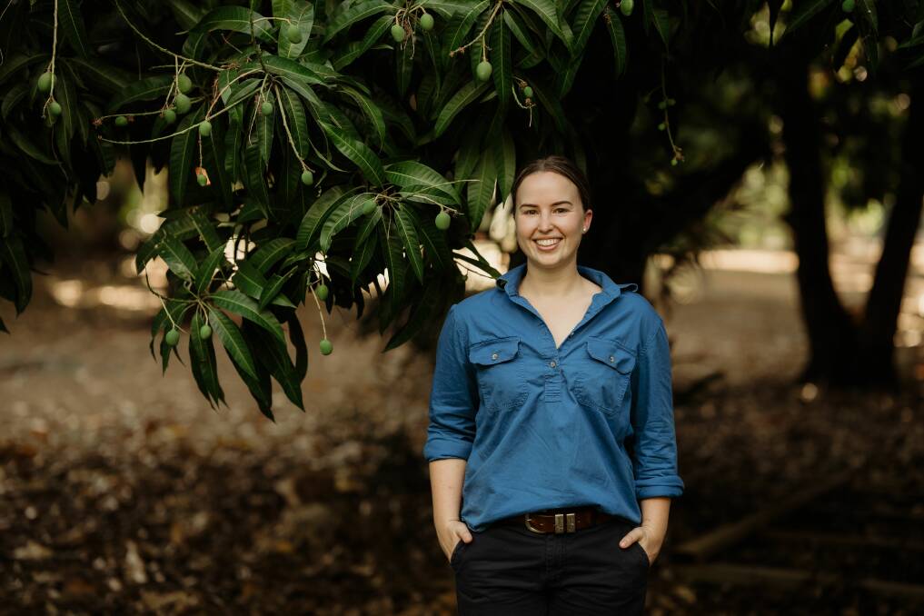 Bec McMullin in some of the Kensington Pride mango trees at Riverfarm mangoes. 