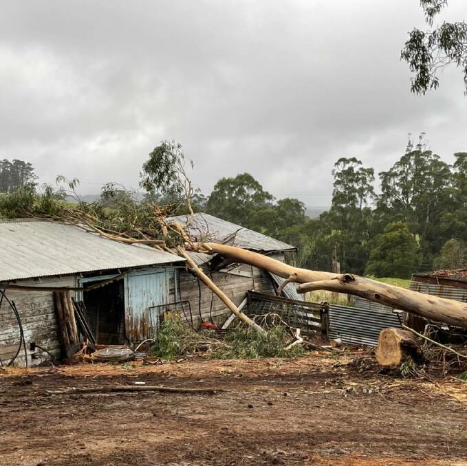 DEVASTATION: Hundreds of uprooted trees still block access to homes and in state forests as Victorian residents count the costs of storm damage.