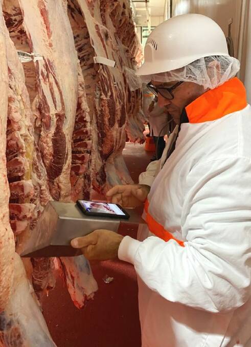 Darren Hamblin runs 6000 Wagyu cattle on his Queensland properties and has created a phone app that measures carcases. Photo: Supplied.
