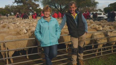 STUD: Peter and Liz Russell, Tullamore Park Texels, Donald, sold this pen of 154 Border Leicester/Merino-cross ewes at Wycheproof for $282.