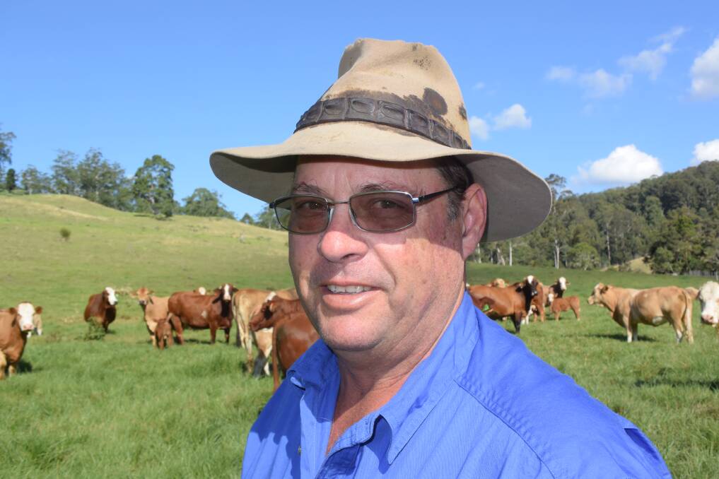 WEANER SUCCESS: Mummulgum beef producer Bruce Jorgensen is gradually moving his 280 head of breeders to a purebred Simmental herd to produce a quality calf suitable for a range of markets, from grass-fed to backgrounding for feedlots.