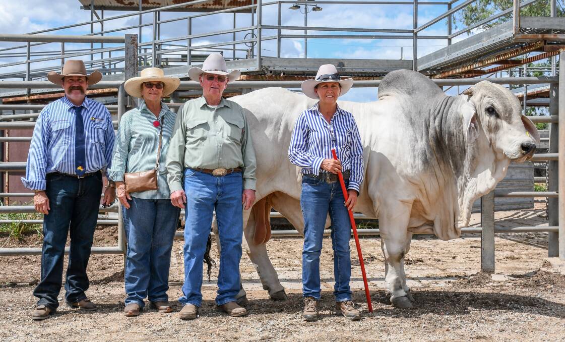 Craig Herring of Queensland Rural with successful 2022 purchasers Kelvin and Margaret Maloney, Kenilworth Brahmans, Mount Coolon and vendor Theresa Taylor, Clukan Brahmans, Jambin with the $160,000 Clukan Jaguar. Picture: Lucy Kinbacher