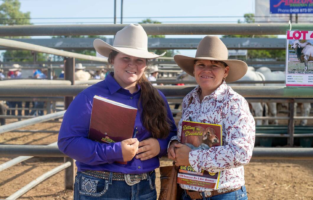 Emily and Holly Stevens, Cremona Brahmans, Julia Creek, inspecting the bulls at Dalrymple Saleyards before the 2022 Big Country Sale. File photo.