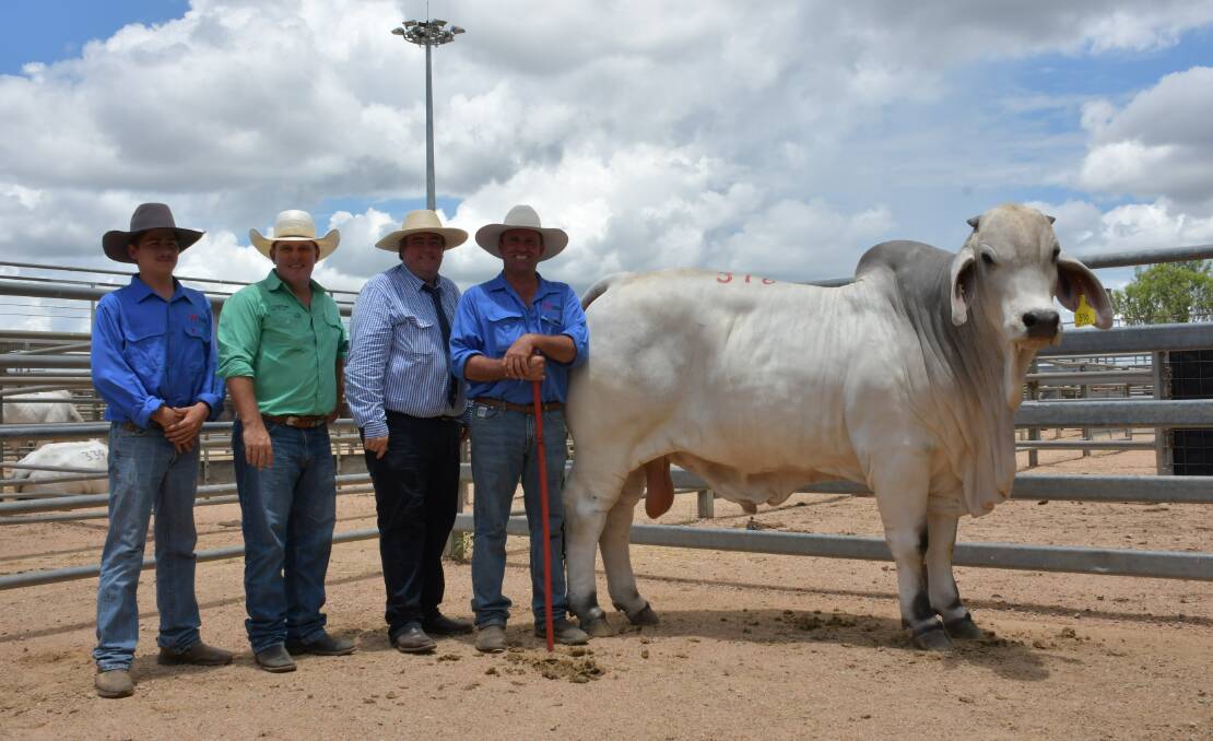 Second top price bull FBC T Caxton Manso 202T who made $50,000 and sold to the Williams family, Riverside Pastoral, Moranbah. Pictured with Jack and Will Fenech, FBC Brahmans, Wowan, Nutrien's Northern Studstock Manager Dane Pearce, North Queensland and Queensland Rural sale coordinator Shaun Flanagan, Charters Towers. 