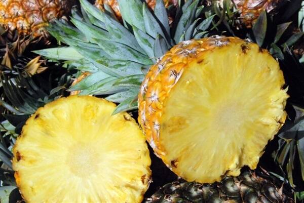 Pineapple IRA a 'slap in the face': Growcom