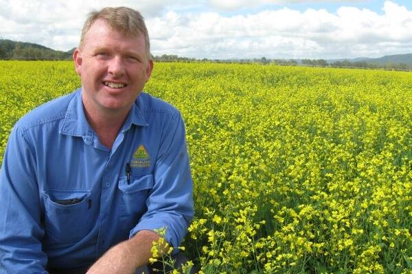 The trial crop at Jim Isabella’s farm produced a yield of 3.5 tonnes per hectare which Mr Keevers said was “an excellent result”.