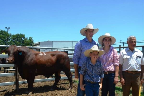 David Bassingthwaighte and his children Drew and Olivia, Yarrawonga Waco Studs, Wallumbilla, were very pleased with their purchase of the top priced bull of the sale Lot 48, Yarrabee Birchwood 1090 (P) for $10,000. They are pictured with vendor Maurice Barlow, Yarrabee Grazing Co, Dingo.