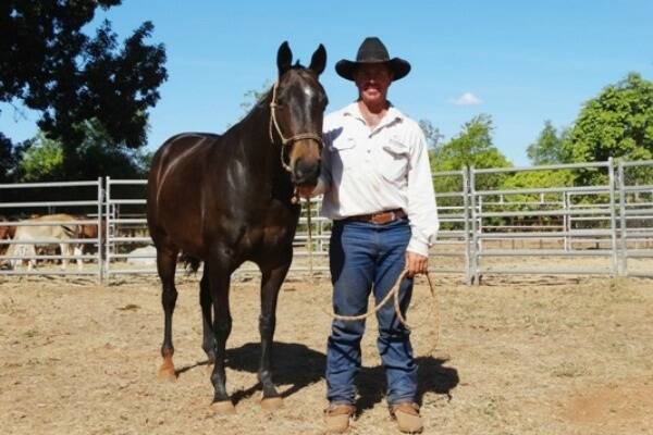 Tom Curtain prepares six year old brown mare 'Bunda Speed' for the inaugural NT Field Days. 