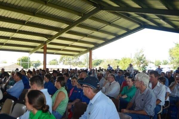 More than 300 people were in attendance at the Northern Beef Producer Expo held at Charters Towers recently.