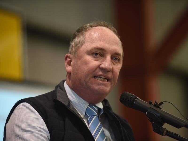 Barnaby Joyce says the government should properly explain to voters why businesses need tax relief.