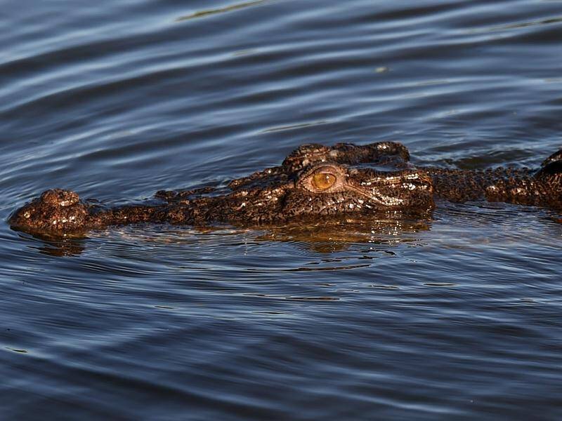 A man in his 20s suffered an injured finger when bitten by a crocodile at a wildlife sanctuary. (Dean Lewins/AAP PHOTOS)