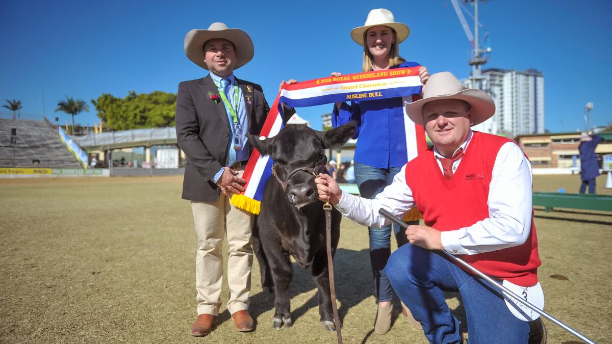 Ausline grand champion bull Mason Farm Zeffaskye with handler Troy Nuttridge, judge Marty Rowlands, and MP Shannon Fentiman. 