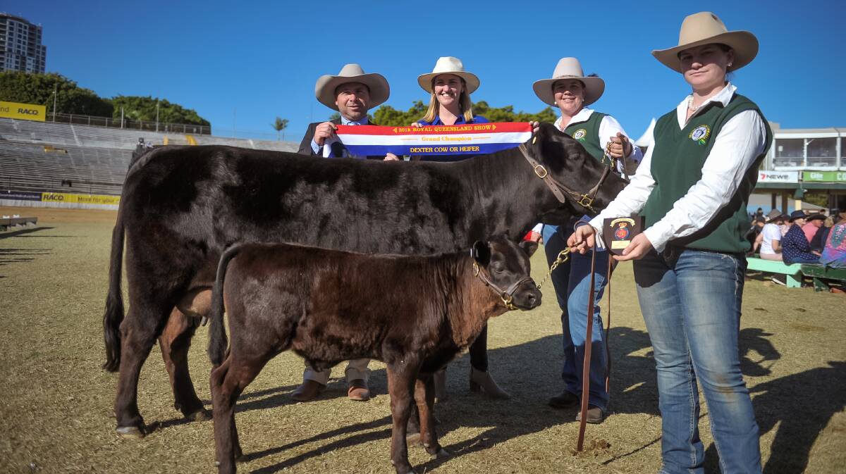 Silver Fern Lady Loopy, T and T Nuttridge, with calf handler Aislynne Boland and cow handler Tracey Nuttridge, judge Marty Rowlands, and MP Shannon Fentiman. 