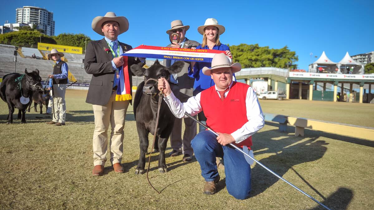 Interbreed female was taken out by Ausline female Mason Farm Elli (AI), owned by Tracey Krahenbring, exhibited by Troy Nuttridge, photographed with judges Marty Rowlands and Hilary O'Leary, and MP Shannon Fentiman. 