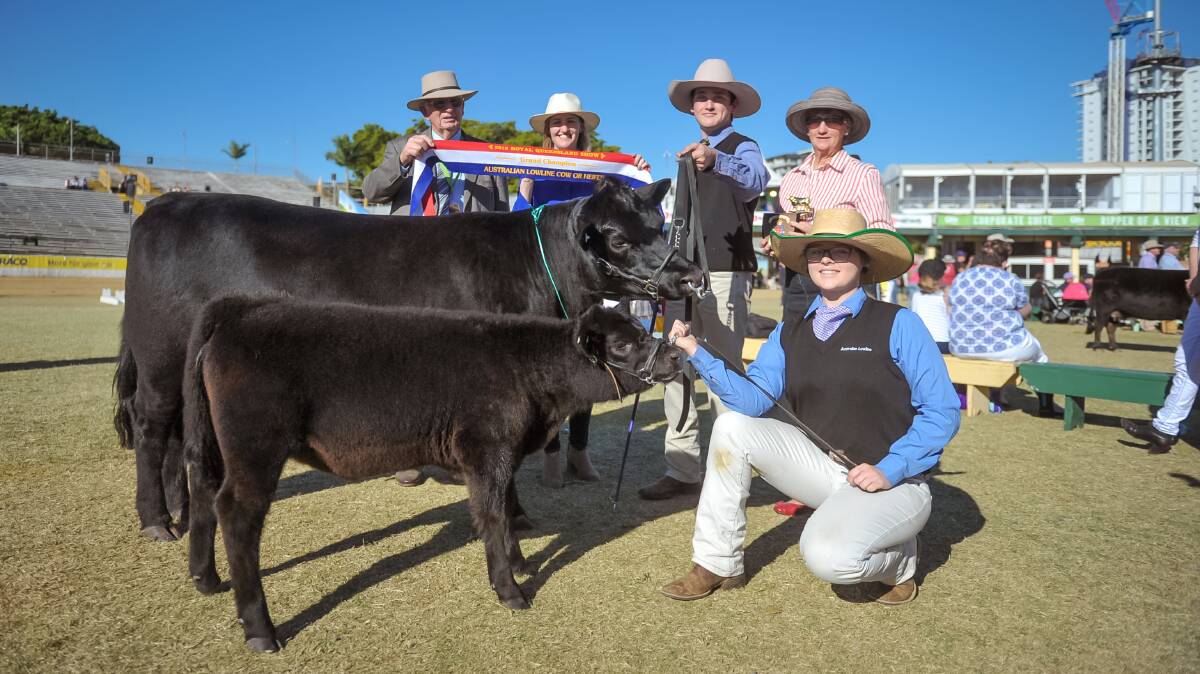 Australian Lowline grand champ female Loc-Hi Liberty, Lockyer District High School with calf handler Natalie Huggins and cow handler Kaine Pieper, judge Hilary O'Leary, MP Shannon Fentiman, and Dot O'Leary.  