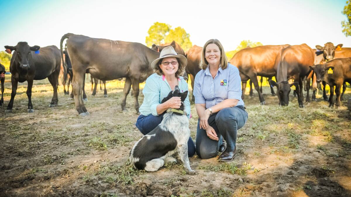 Christine Crook, Overtime, Emerald, with CHDC Agribusiness Development Coordinator Liz Alexander. Christine and her husband Neville are breeding Wagyus, growing grapes, and producing butterfly pea for Australia's Sero-X production. Photo - Kelly Butterworth. 