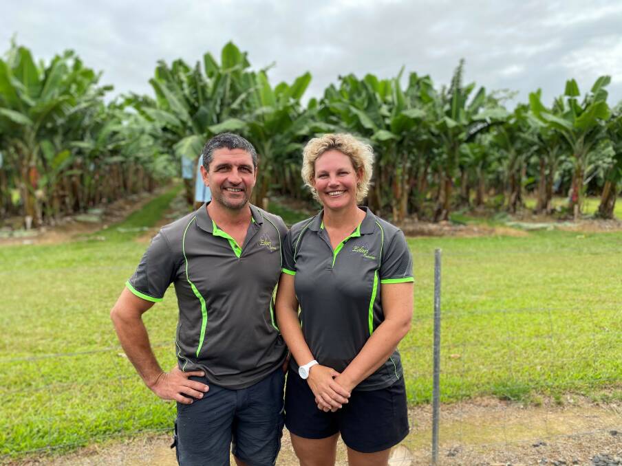 Shayne and Blaise Cini, Edari Bananas, are cautious about bio-security and the impact Panama disease could have on the banana industry in North Queensland.