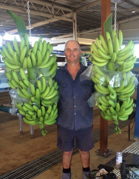 Banana growers from across the north, including Tully Valley grower Leon Collins, are encouraging Australians to get behind the industry on national banana day.