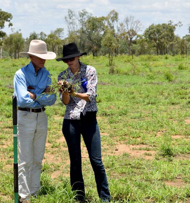 Paul LeFeuvre from St Margaret's Creek, Giru and Karin Robinson, Pallamana Station, Charters Towers inspect new grass growth.