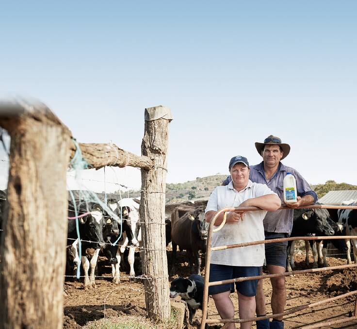 Toowoomba dairy farmers Dianne and Scott Brown.