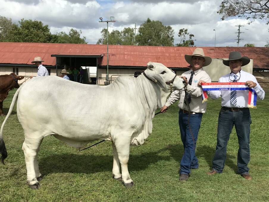 Lawson Camm from Cambil Stud with Judge Craig Herring and Grand Champion Female Cambil Jewel.