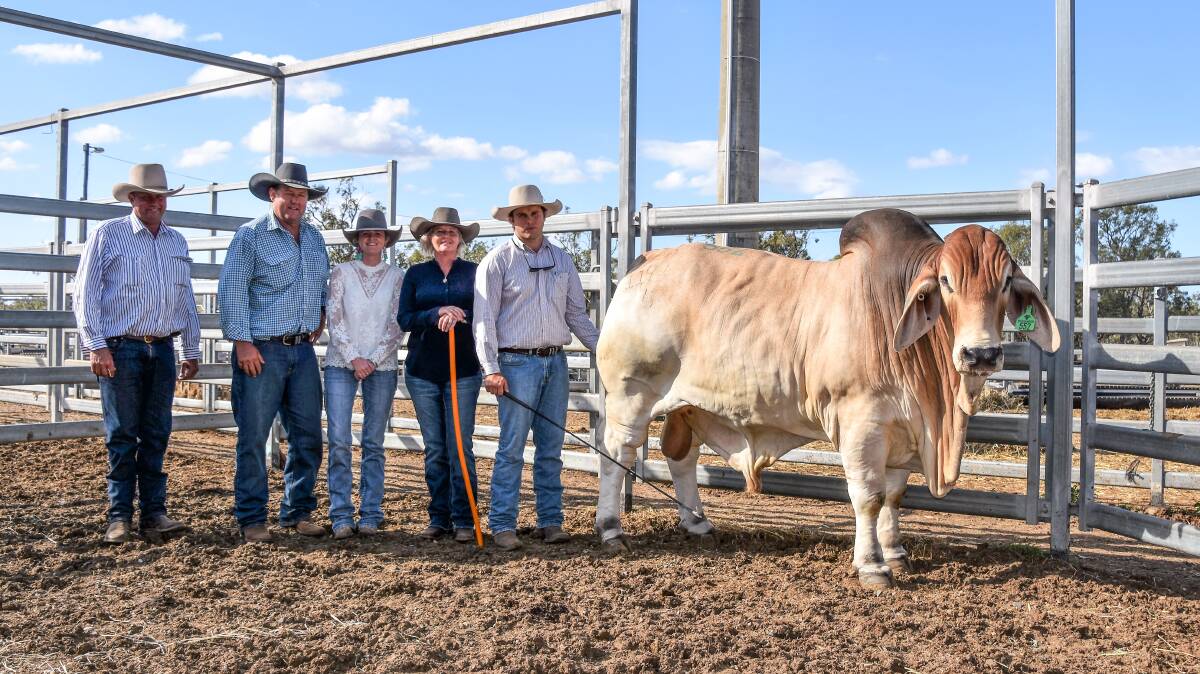 Vendor Darren Kent, Ooline Brahmans, with buyers Danny, Allanah and Christine Parker, Clare Station, Jericho, and James  Kent, Ooline Brahmans, with Ooline Kansas, who sold for $50,000. Picture Sheree Kershaw.