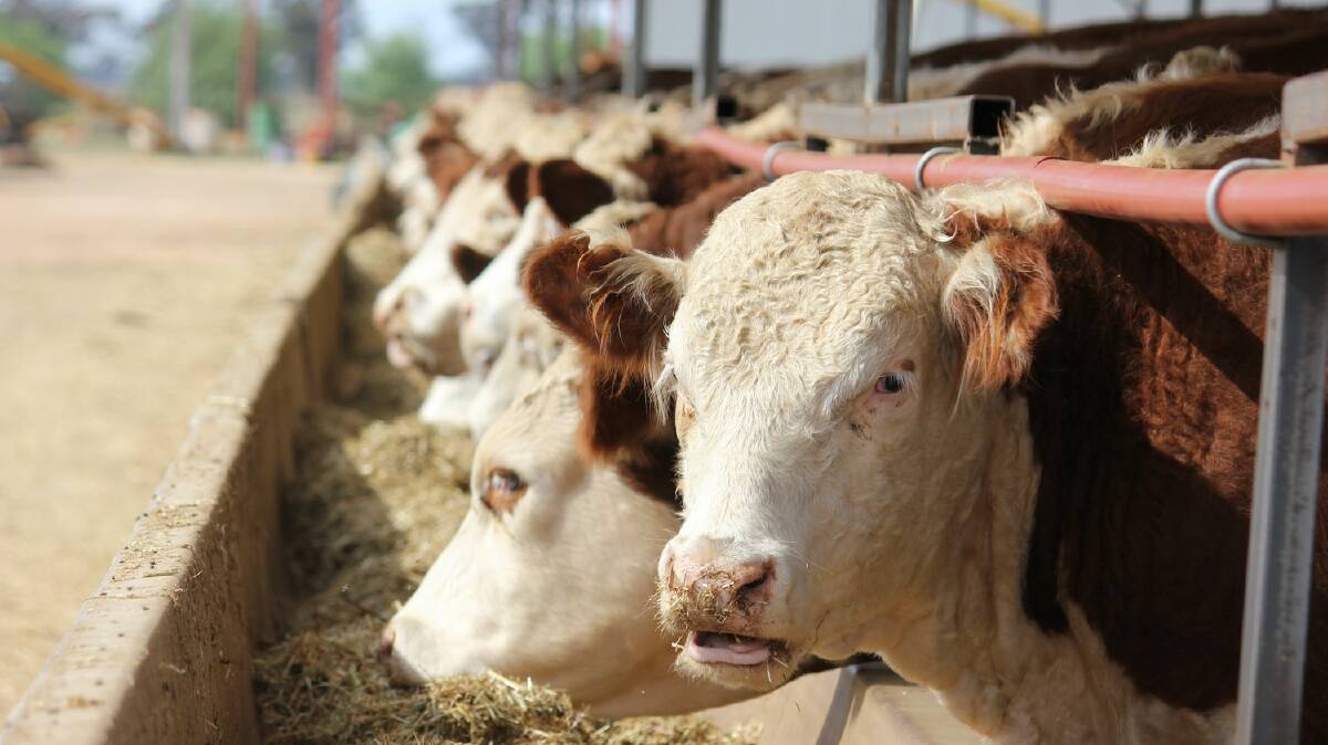 The cattle industry has defended its efforts to cut greenhouse gas emissions.