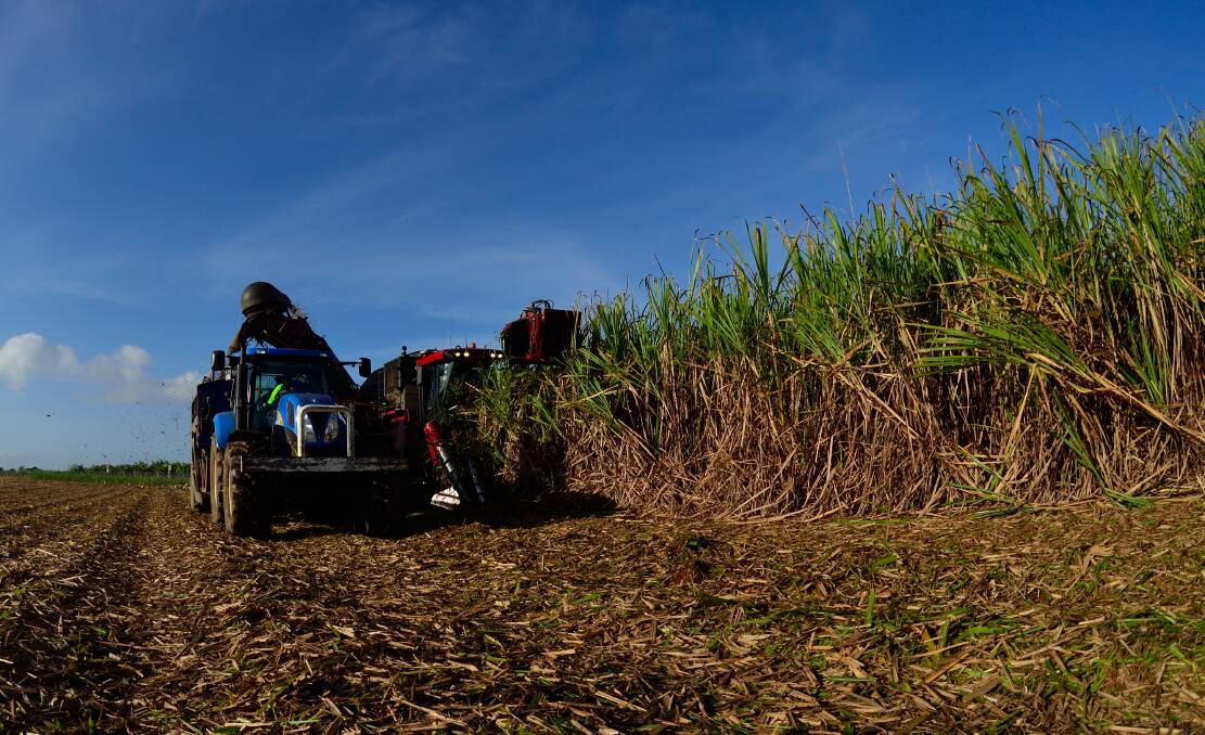 DRIVING CHANGE: The 2020 cane harvest is set to start in late May.