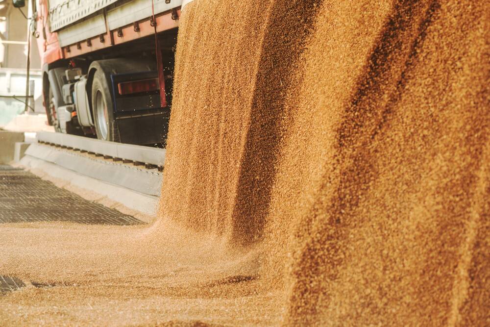 Winter crop production in Australia in 2020-21 is expected to be 51.5 million tonnes, second only to the record high of 56.7m/t in 2016-17.