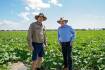 Irrigation costs slashed for Queensland farmers