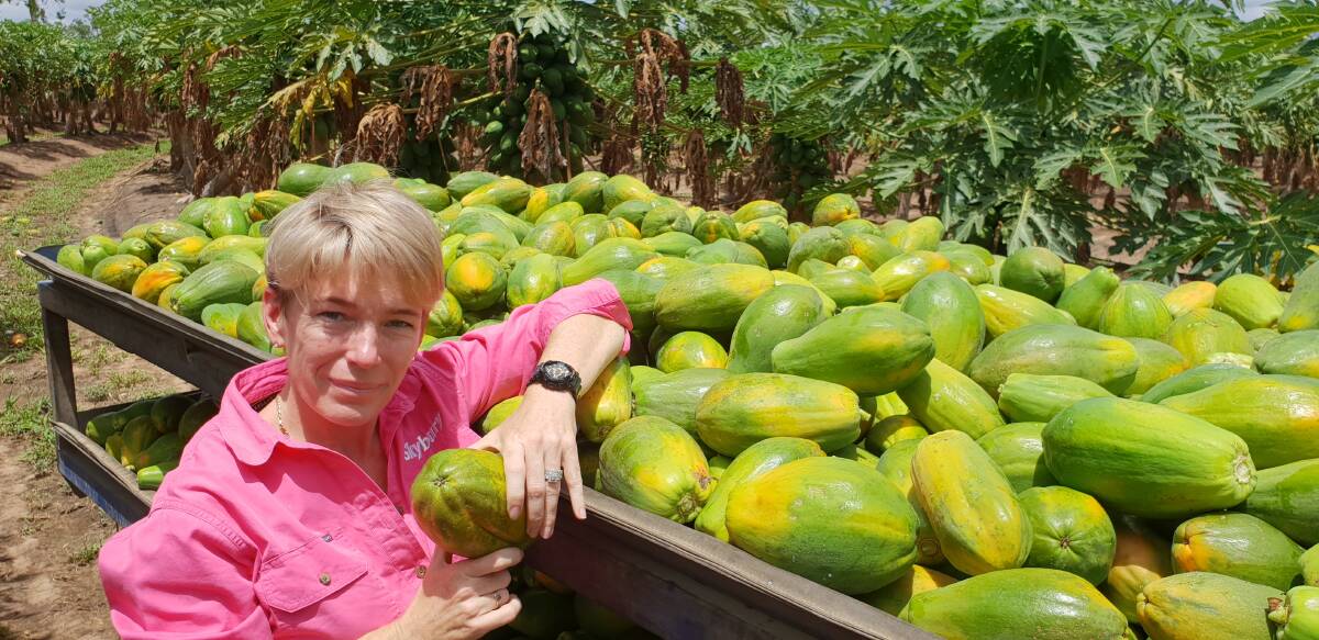 Skybury general manager Candy MacLaughlin with some freshly picked papaya.