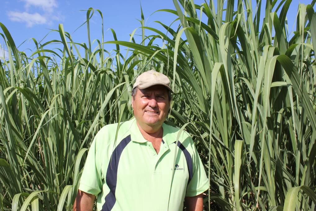 Third generation Herbert River district cane grower Steve Guazzo has recently gained his Smartcane BMP accreditation.