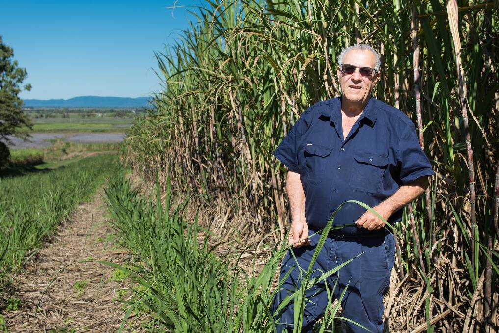 Canegrowers chairman Paul Schembri is speaking out about the economic impact reef regulations would have for the sugar industry and entire cane growing communities.