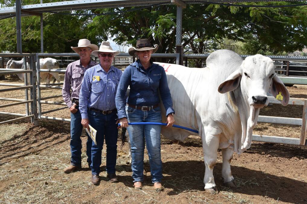 Stewart and Kelly Wallace, with the top price Wallace Mr Stamford 31/19 (P/S), and Jim Geaney, Geaney's Livestock and Real Estate, Charters Towers, who bid for the bull on behalf of Peter and Joy Newman, Rathlyn Stud, Emerald. Photo: Ben Harden.