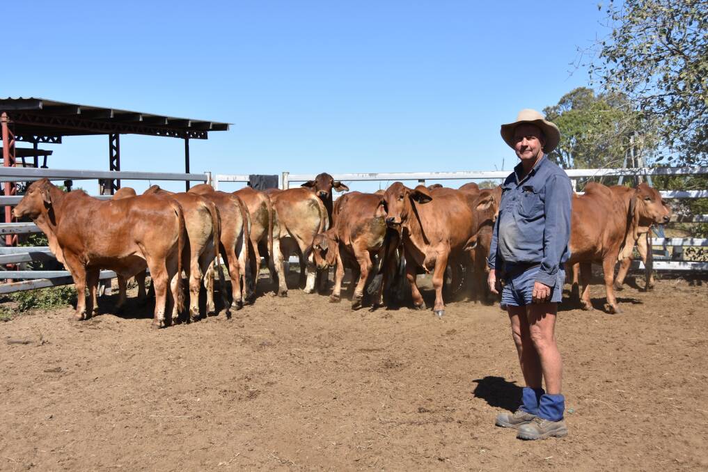 Malcolm Searle, his wife and sons are carrying on the family tradition breeding Red Brahman's at the Burdekin.