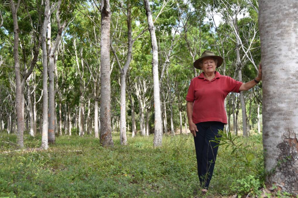 New venture: QPlas founding director Sandra Richards at her African mahogany plantation near Rollingstone. Picture: Jessica Johnston.