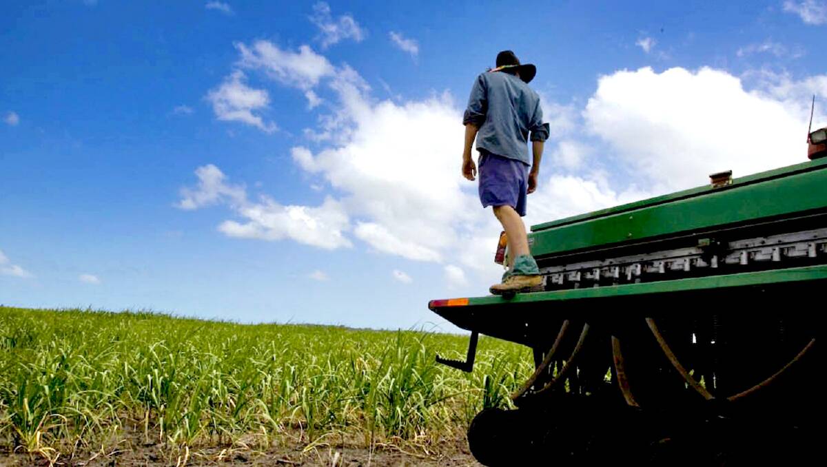 A new online tool has been developed to help cane growers to keep track of nitrogen costs.