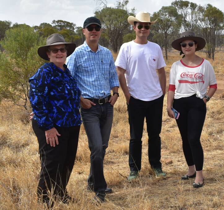 Jane McNamara, Max Feng, Andy Gao and Miao Wang at the site of the Hughenden meatworks.