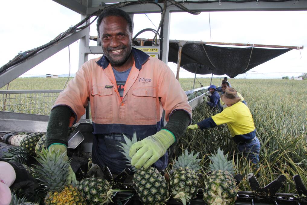 The horticulture industry relies heavily on seasonal workers from Pacific Islands nations to harvest crops.