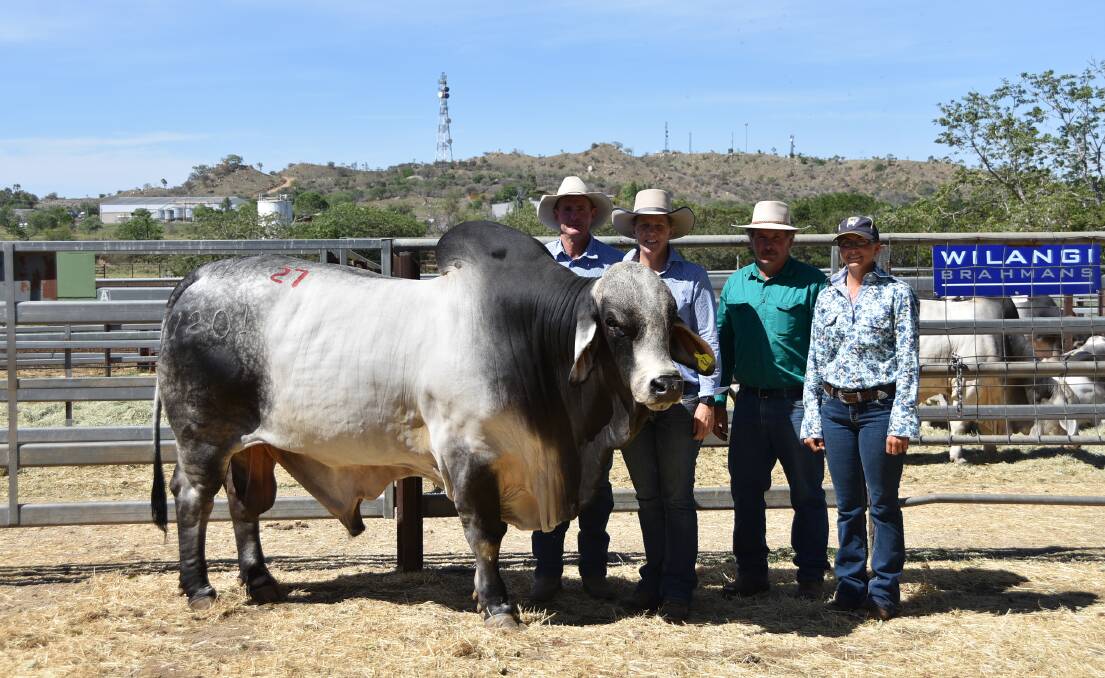 Viva Brahmans AJ and Pam Davison, achieved the second top price of $20,000 for Viva Nevada 1201, who sold to Lance and Kirstin Faint, Karmoo Brahmans, Clermont.