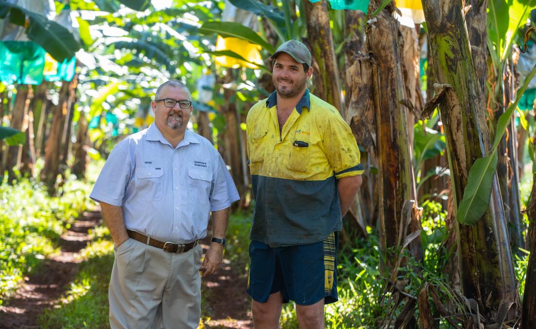 Queensland Rural and Industry Development Authority Far North Regional Area Manager Sam Spina and banana farmer Ben Abbott.