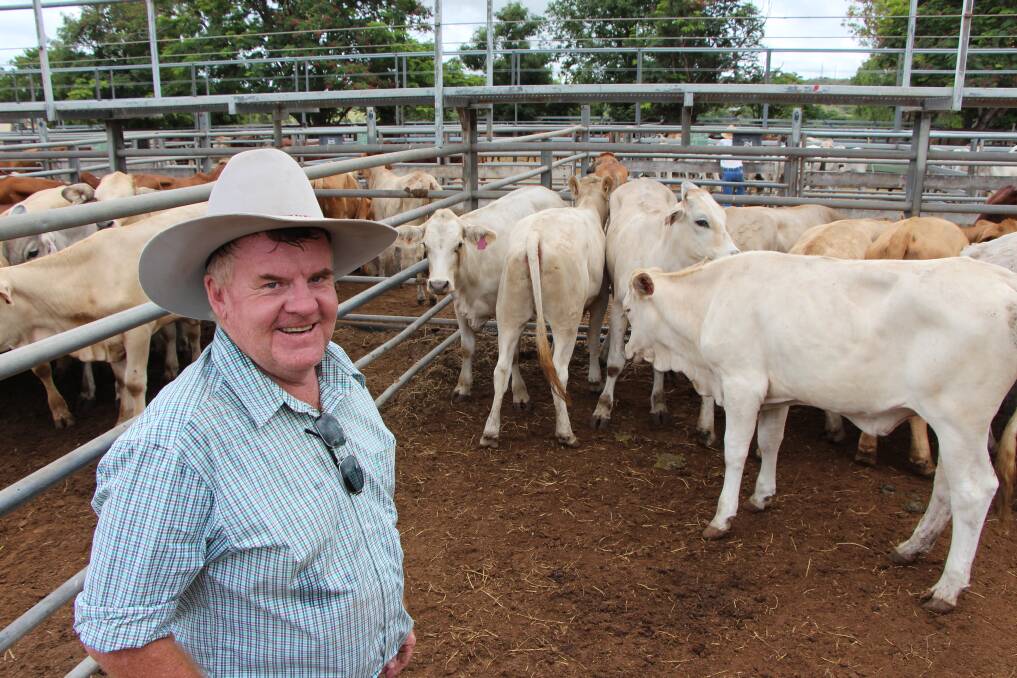 HELPING HAND: Donald Burnett from Mt Douglas Pastoral Co, Belyando, with the pens of heifers he donated to BlazeAid for flood relief at the Dalrymple Saleyards last week.